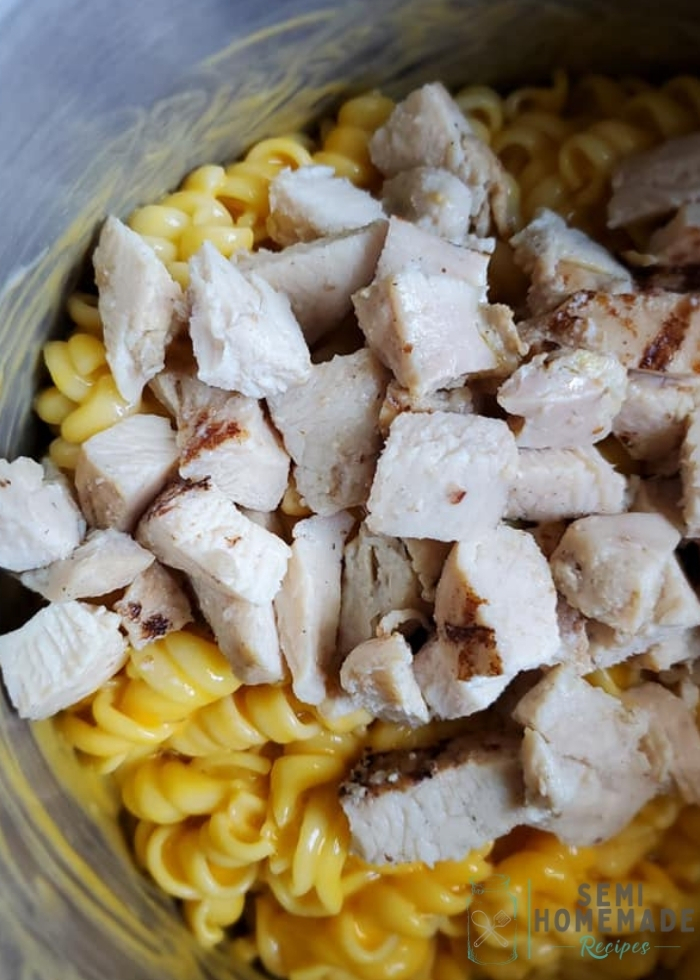 cooked Rotini pasta with cheese sauce and chicken