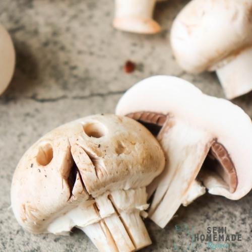 Mushroom Skulls (2)