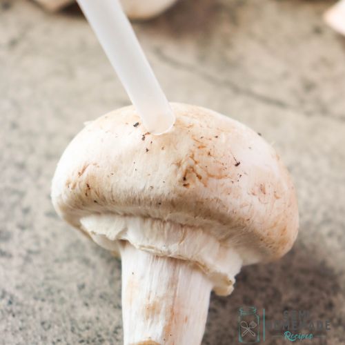 White Mushroom with straw to make eyes
