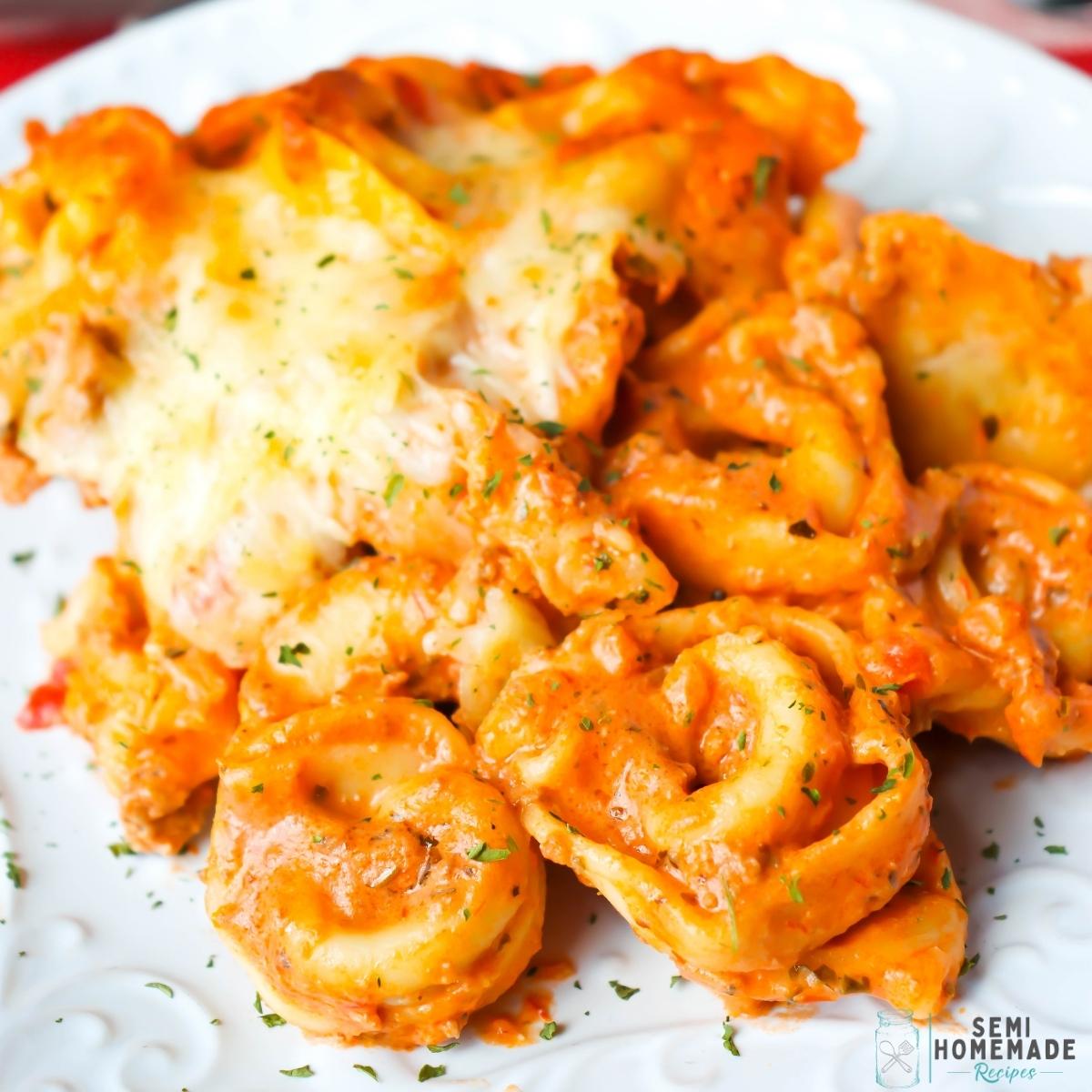 Baked Cheesy Tortellini Casserole - Ground Turkey (or ground beef), is seasoned and browned before being mixed together with spaghetti sauce, cream cheese and cheesy tortellini before being covered in cheese and baked in the oven.