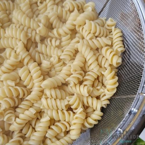 cooked rotini pasta