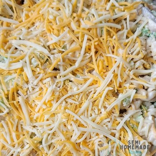 pasta ingredients mixed all together in casserole dish topped with cheese
