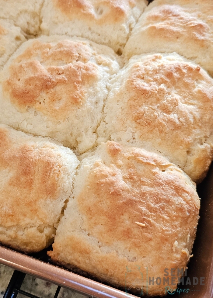 biscuits out of the oven