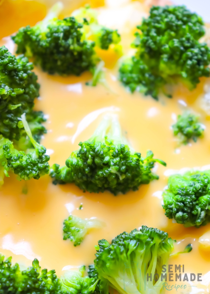 broccoli and cheese